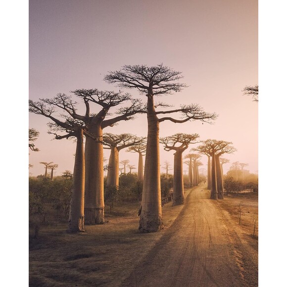 Dream Walls Collage Kit Wanderlust 50 Pieces Art Travel Posters Book Photos - Picture 2 of 7